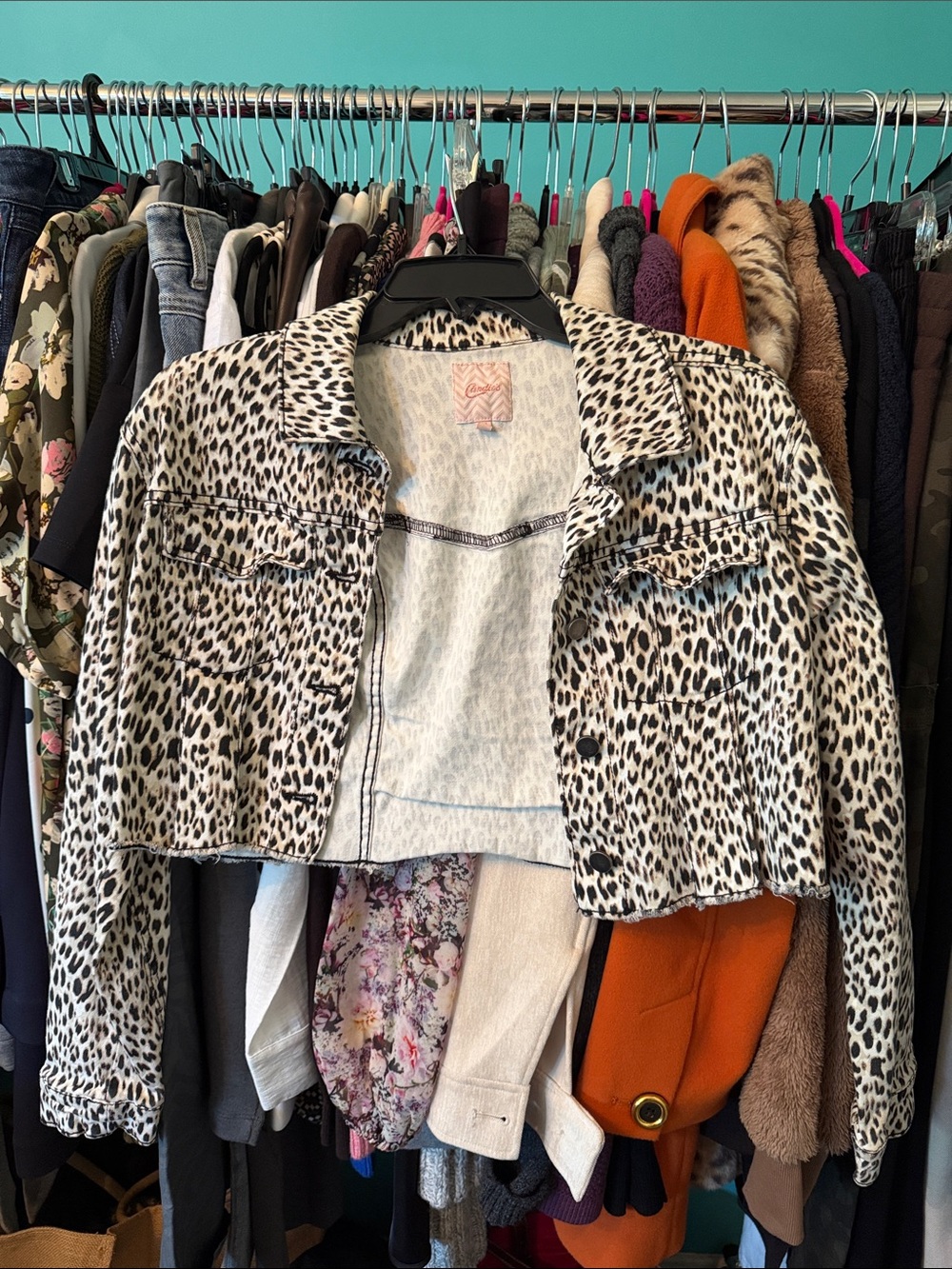 Leopard Print Cropped Jacket - White/Black